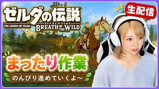 【ゼルダの伝説 ブレワイ】因縁の!?サイハテノ島/野生の試練リベンジィ！〜5箇所の祠攻略を添えて〜【ネタバレ解禁】【クリア済み】