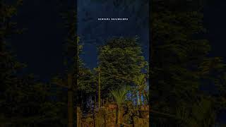 Download lagu music - tak ingin sendiri ||  cover - indah yastami 🎧 mp3