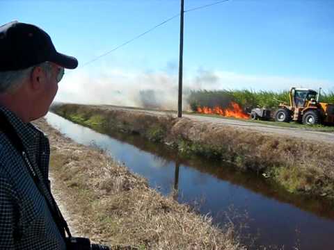 Sugar cane field burn
