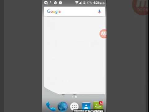 Putos tiburones | tasty fish