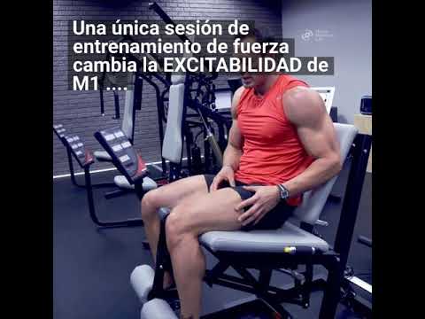 CORTEX Y FUERZA — NEUROMECÁNICA LAB