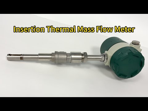 Thermal mass flow meter