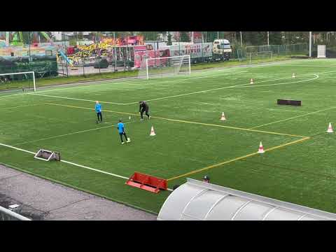 Lajinäytteet taitokisat HyPS P2012