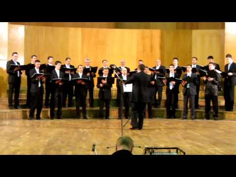 Corul barbatesc din Constanta - N-am sa stiu niciodata
