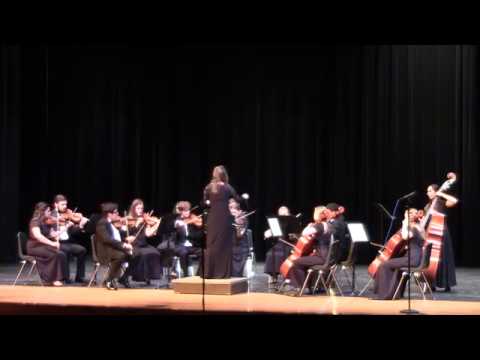 UIL 2019 REL Varsity Chamber Orchestra - Elgar's Serenade for Strings, mvt. I