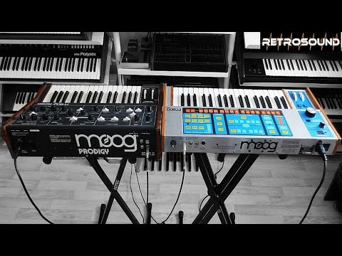 MOOG SOURCE vs. PRODIGY Analog Synthesizer - sound battle