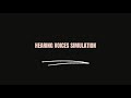 Hearing Voices Simulation 30min