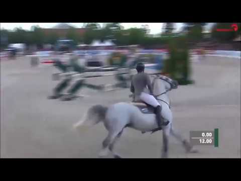 CORDESS: Ludger Beerbaum KWPN stallion by Clinton x Heartbreaker, www.equine-evolution.com