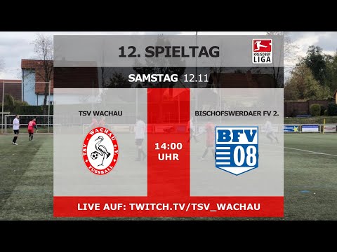 12.11.2022 - 14:00 Uhr | 12. Spieltag Kreisoberliga: TSV Wachau - Bischofswerdaer FV 08 2.