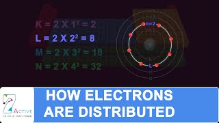 How are Electrons Distributed in Different Orbits (Shells)?
