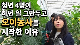 오이농사에 청춘을 바치는 4명의 청년들, 그 이유는...? [스마트팜 오이농사] 1부
