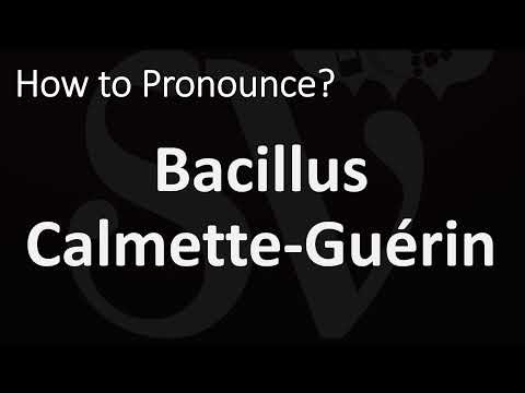 How to Pronounce Bacillus Calmette Guérin? (BCG Vaccine)