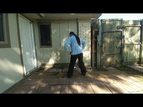 Bagua - Palm Change #1