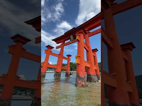 天啓神眼霊視 | 人生の迷いの深淵まで鑑定します 人生全般の迷いの根を視て、天啓神域へ導くあなただけの神髄鑑定