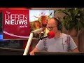 Dierennieuws met Bas Steltenpool