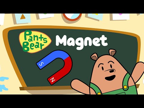 Magnetism | Magnetic field | Science for kids | Educational Video #PantsBear