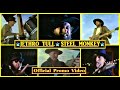 Jethro Tull: Steel Monkey: Official Promo Video