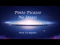 Pinto Picasso - No Stress