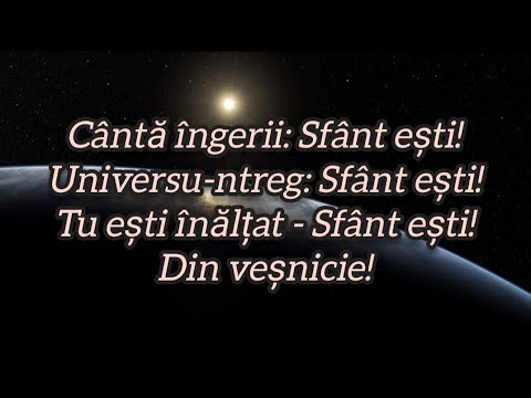 Sfant din vesnicie (Holy forever) - karaoke/negativ cu versuri - cover