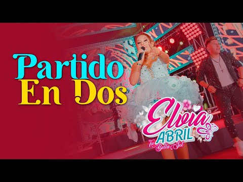 🔥 Elvia Abril – PARTIDO EN DOS 💔 PRIMICIA 2025 | HUAYNO SUREÑO OFICIAL