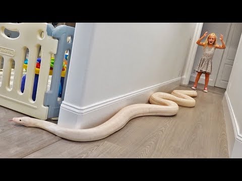 15 Foot Python Gets Loose In Our House.. (TERRIFYING) Video