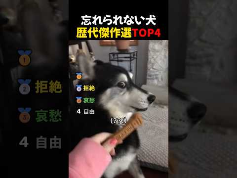 音を確認しないでください😭😭