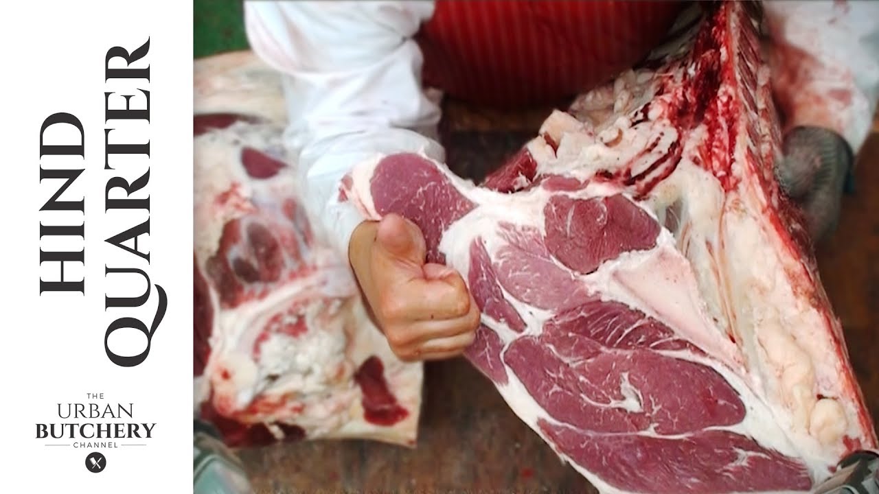 Beef Hind Quarter | Professional butchery up close