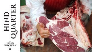 Beef Hind Quarter | Professional butchery up close