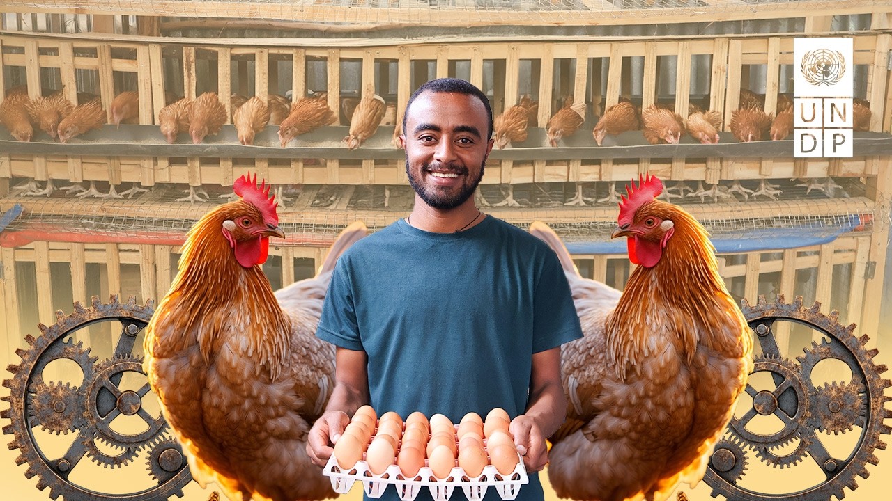 From Mechanical Engineer to Poultry Farmer: How I Found Hope
