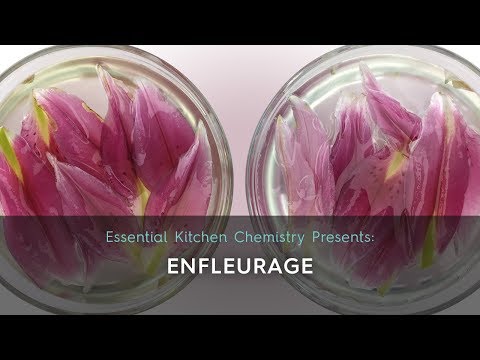 download lagu mp3 mp4 Enfleurage, download mp3 Enfleurage free download, download mp3 Enfleurage