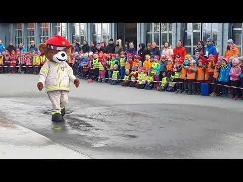 "Bjørnis" begeistret hundrevis av barnehagebarn 08.05.19 - Bydelsnytt.no