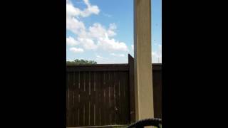 September 2016 butterfly frenzy San Antonio