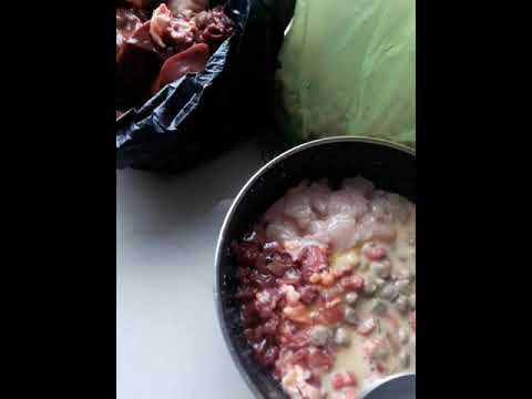 Alimentando a mi perro