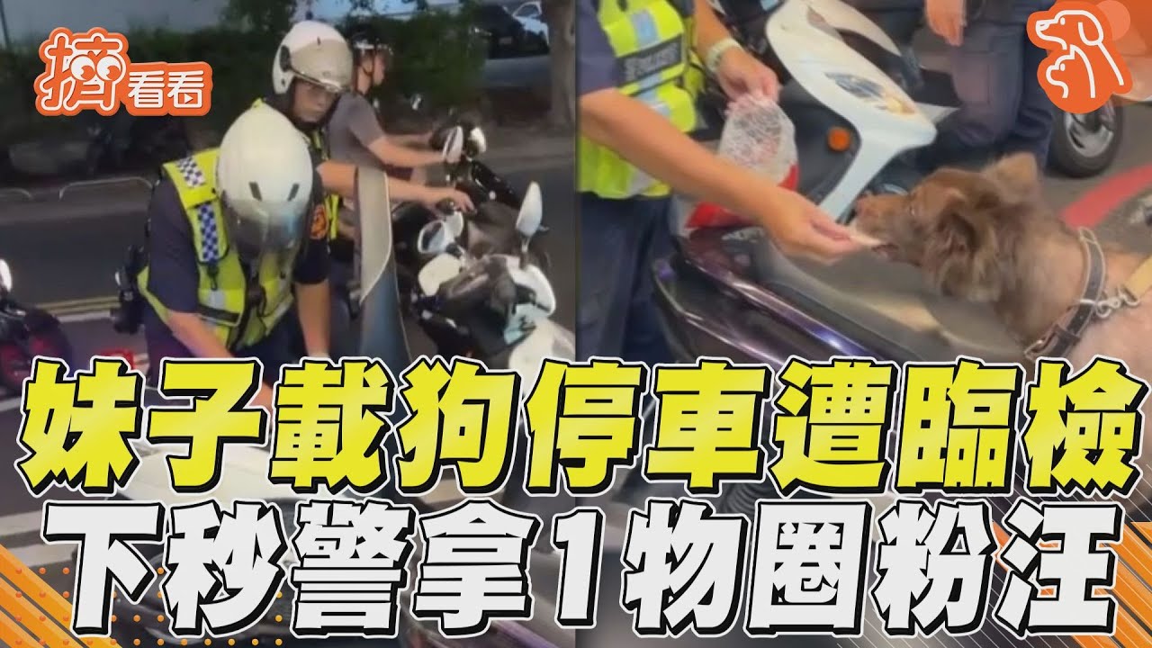 影音／妹子載狗停車遭臨檢　下秒警拿1物圈粉汪