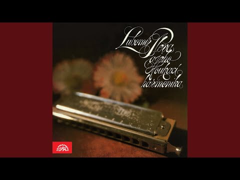 Hvězdný prach (Stardust)