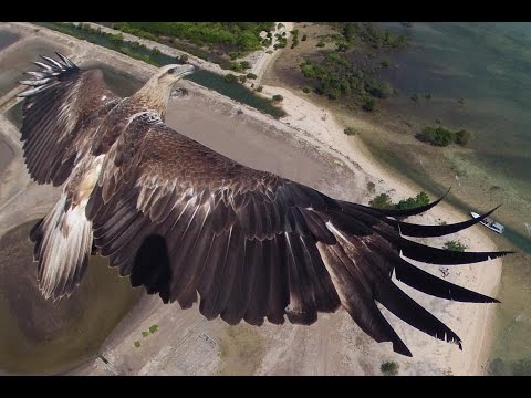 Luftaufnahme Karlsruhe