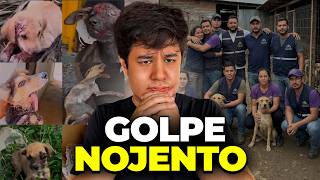 GOLPE do ABRIGO DE ANIMAIS CASA CANINA!