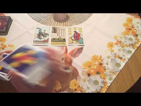 Liebesorakel April 2020            Was empfindet dein Herzensmensch für dich?