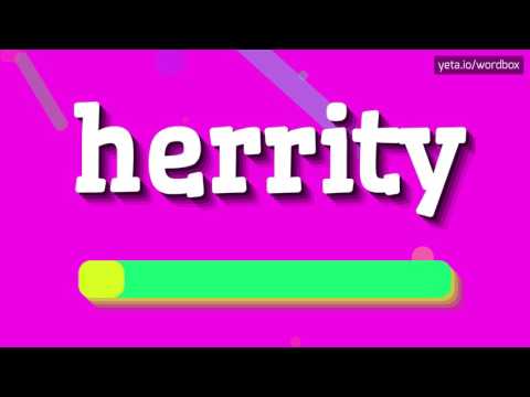 HERRITY - HOW TO PRONOUNCE IT!?
