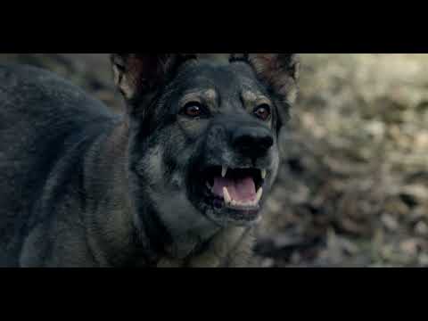 Szlimmy & Loki - Drága (Official Visualizer)