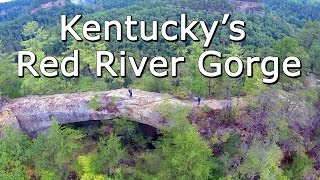 preview picture of video 'Kentucky's Red River Gorge, Natural Bridges and Waterfalls, and Daniel Boone National Forest'