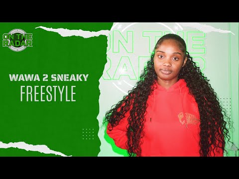 The Wawa 2 Sneaky "On The Radar" Freestyle