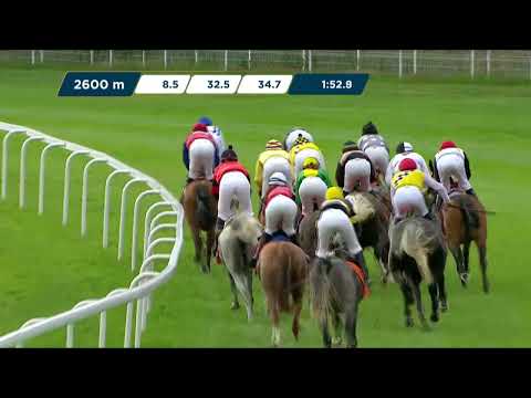 NAGRODA JANOWA (PRZYCHÓWKU) – (KAT. A) 25.06.2023 - (Dzień 17; Gonitwa 7)