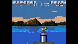 (TAS) Zigil1's Kaizo level in 1:58.65