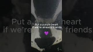 I frickin swear #furry #therian #anti00 #quadrobist #raccoon #cat mask #trend