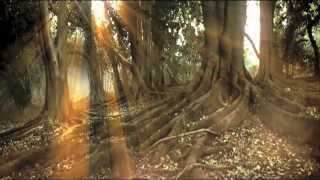 Kate Bush - You Want Alchemy