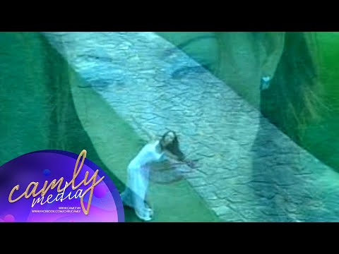 Tình không đổi thay - Cẩm Ly