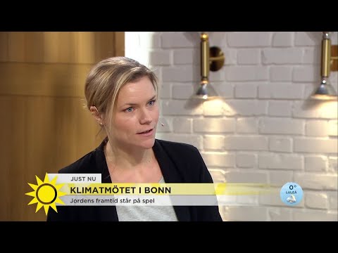 Jordens framtid står på spel - nu samlas världens ledare i Bonn - Nyhetsmorgon (TV4)