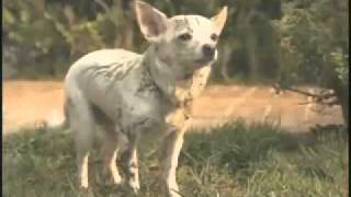 Bridgit Mendler  &quot;This Is My Paradise&quot;  Official Music Video