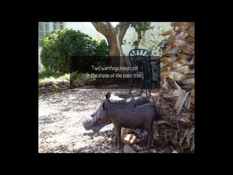 garden art at fountain place